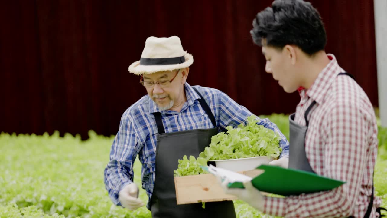 环境友好型视频素材