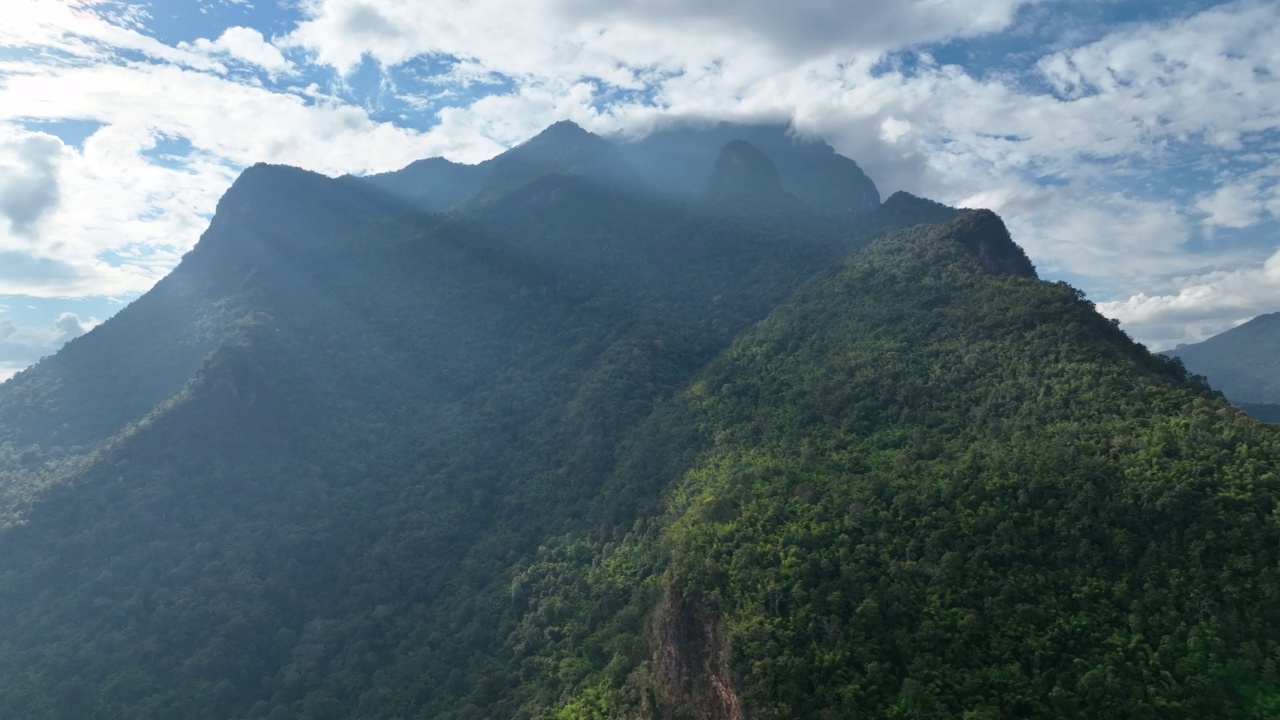 林地山顶的鸟瞰图视频素材