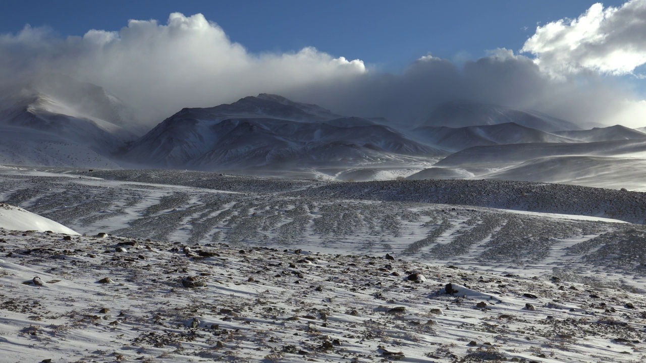 阿尔泰库雷山脉冬季有暴雪和强雪灾。视频素材