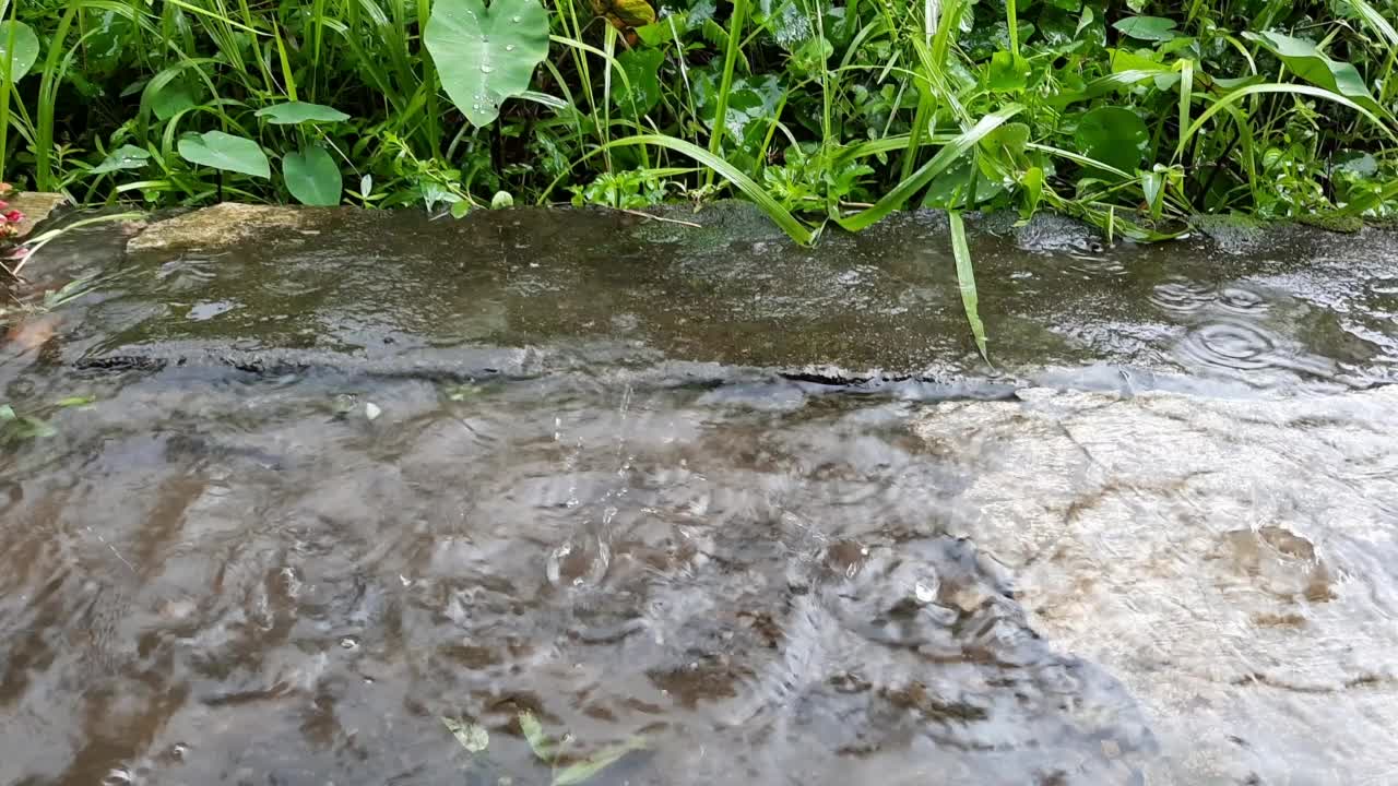 雨滴视频。视频素材