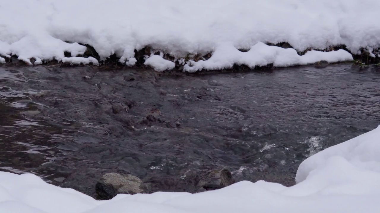 冬天流淌的河流在阴沉寒冷的冬日里，远处的雪林视频素材