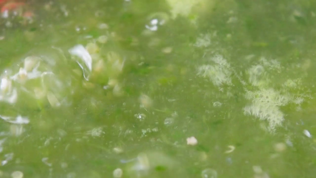 烹饪西兰花汤。素食健康食品。特写镜头视频素材