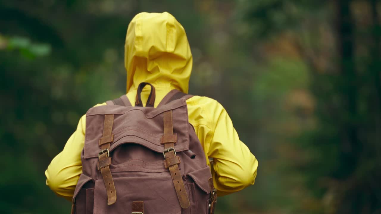 慢动作相机跟踪女子徒步旅行者在黄色雨衣与背包。迷人的快乐的年轻女孩与背包徒步在绿色的树林在寒冷的雾蒙蒙的秋日视频素材