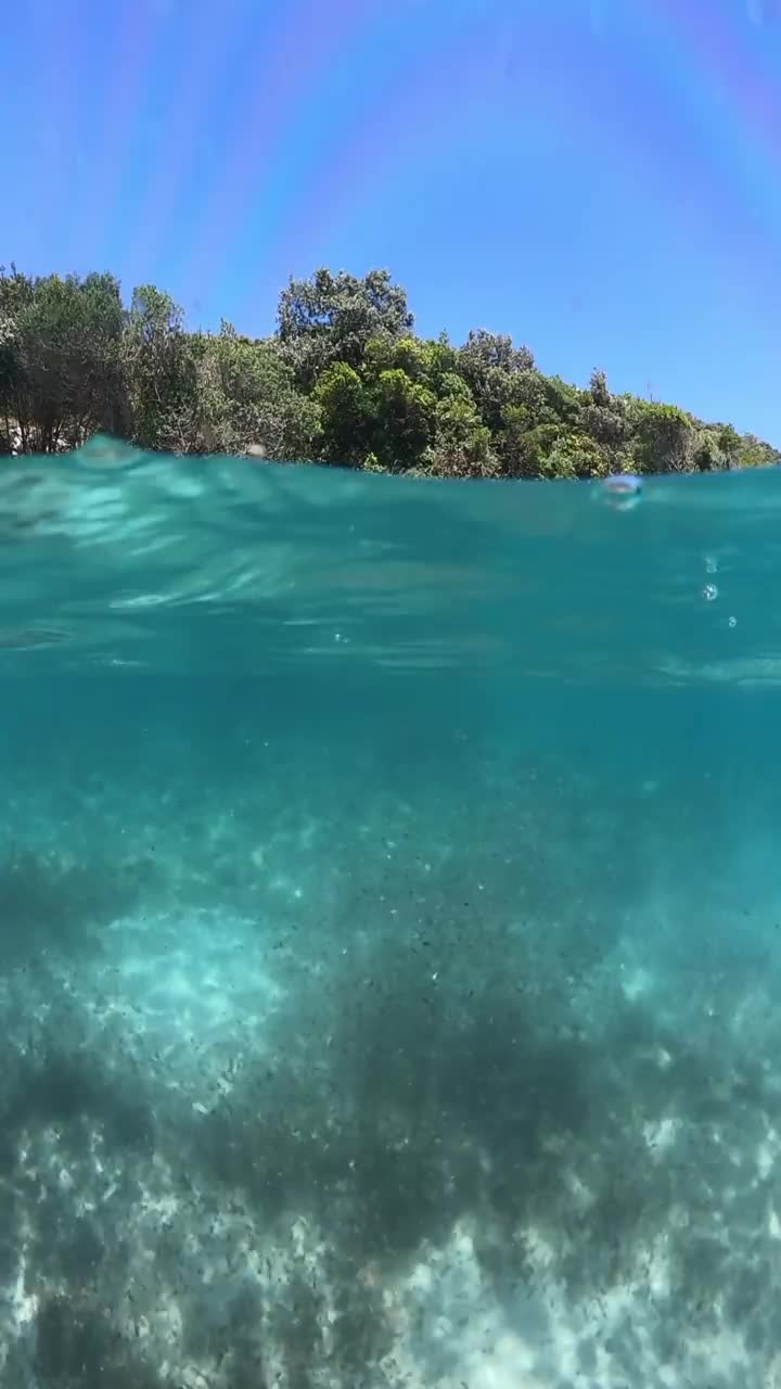 在海水中放松视频素材