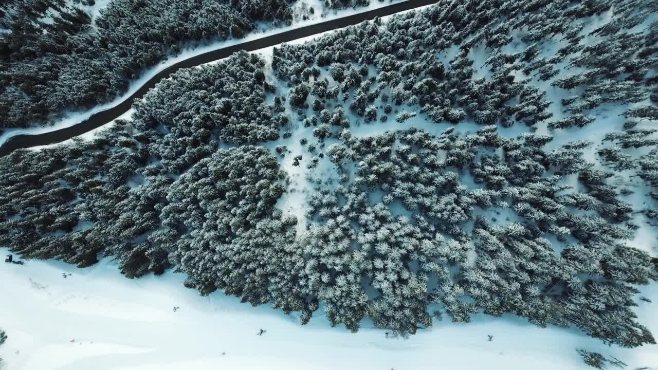 鸟瞰图在冬天穿过森林的道路，在法国Vallées。视频素材