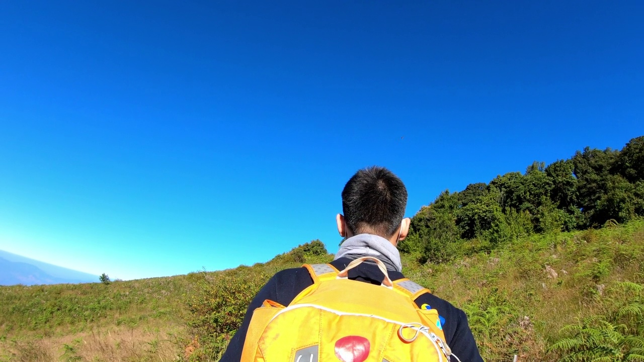 徒步登山和森林旅行的人视频素材