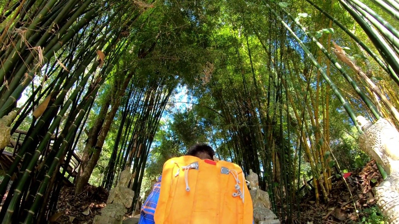 人在山上和森林里徒步旅行视频素材