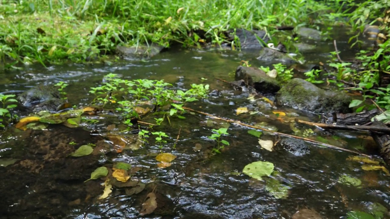 山涧流水，溪水湍急视频素材