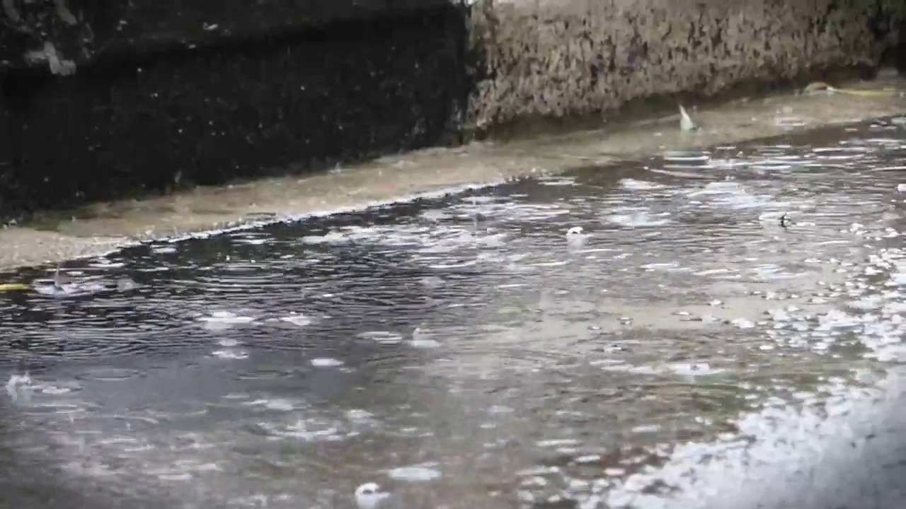 雨点落在路边视频素材