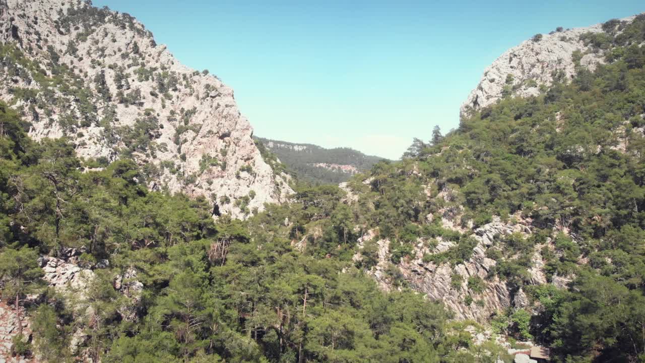 飞过落基山脉和松树林。在阳光明媚的夏天，巨大的山脉和绿色的树木映衬着蓝天。飞越绿色的森林和落基山脉视频素材