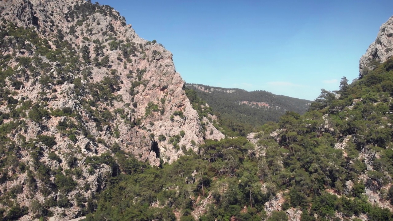 野生松树林与岩石山脉。飞越高空景观和岩石山峰。山上的云杉林。美丽的山的风景。野生自然视频素材