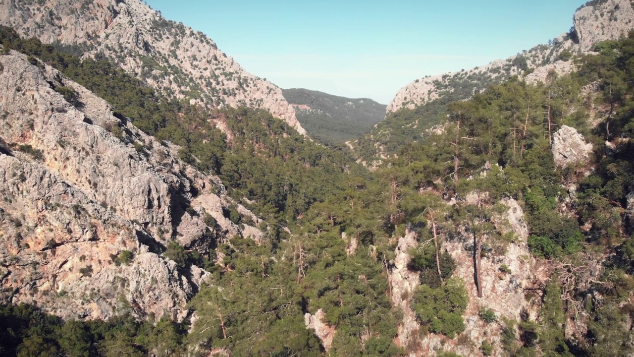 山景的鸟瞰图。飞越岩石地貌。群山和岩石峭壁上的松树林。深深的岩石峡谷被松树和云杉林包围。野生自然景观视频素材