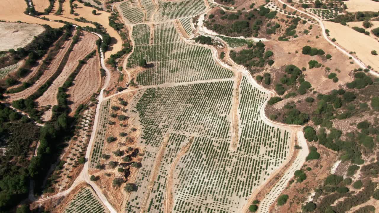 现场摄像机旋转美丽的塞浦路斯风景与葡萄种植园户外。鸟瞰地中海岛屿山与栽培植物生长在阳光明媚的夏天的广泛镜头。视频素材