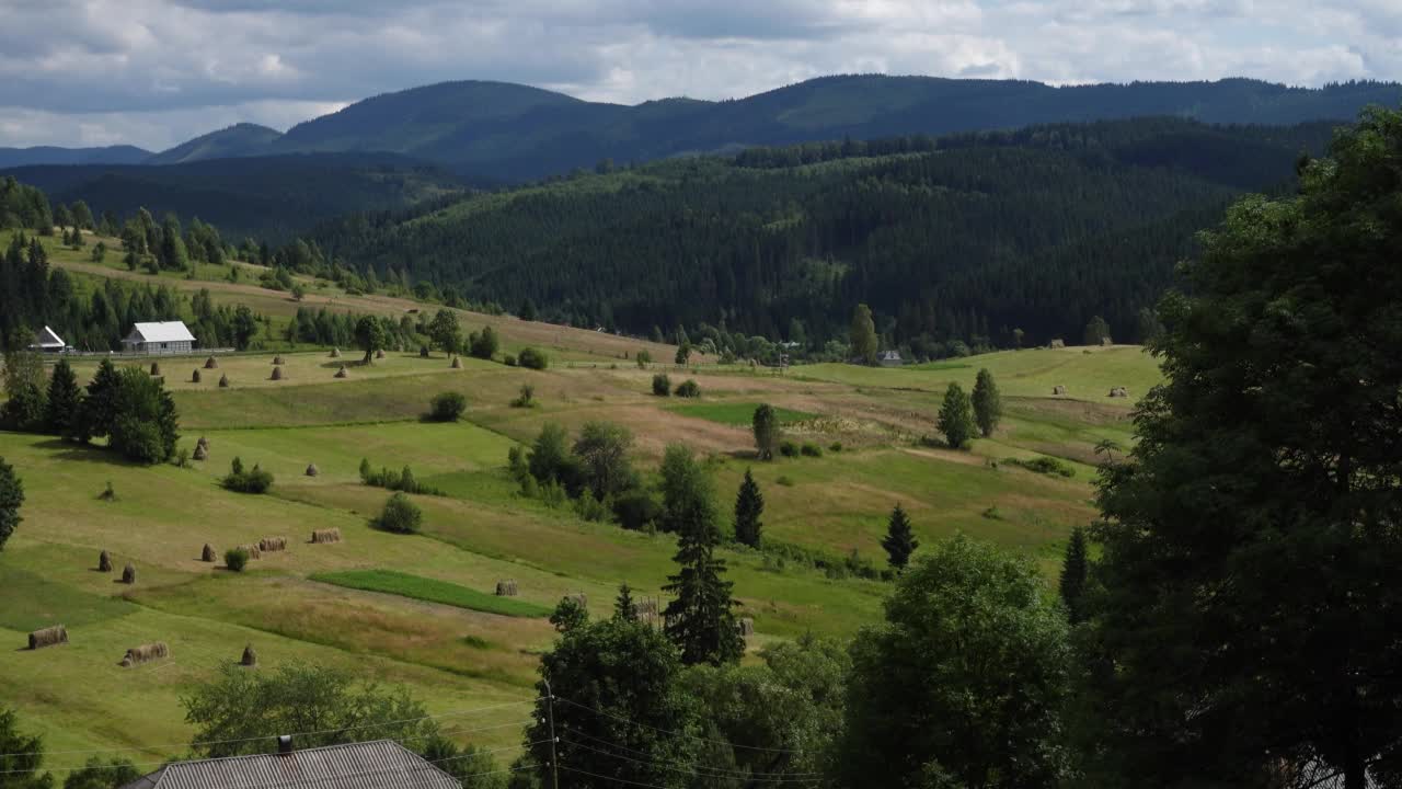 宁静的乡村景观，风景如画的乌克兰村庄，还有绿色的田野和牧场视频素材