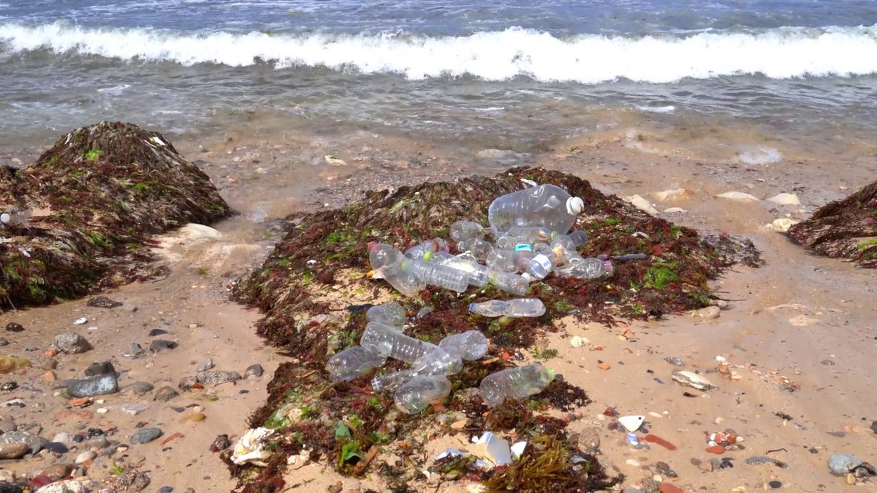 海滩污染视频下载