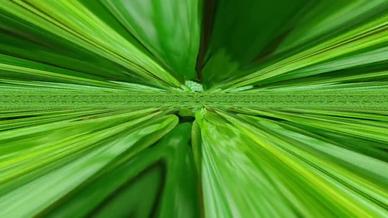 镜头万花筒曼荼罗停止运动动画图形插图背景几何形状抽象霓虹灯混合镜涂鸦全彩色视频素材