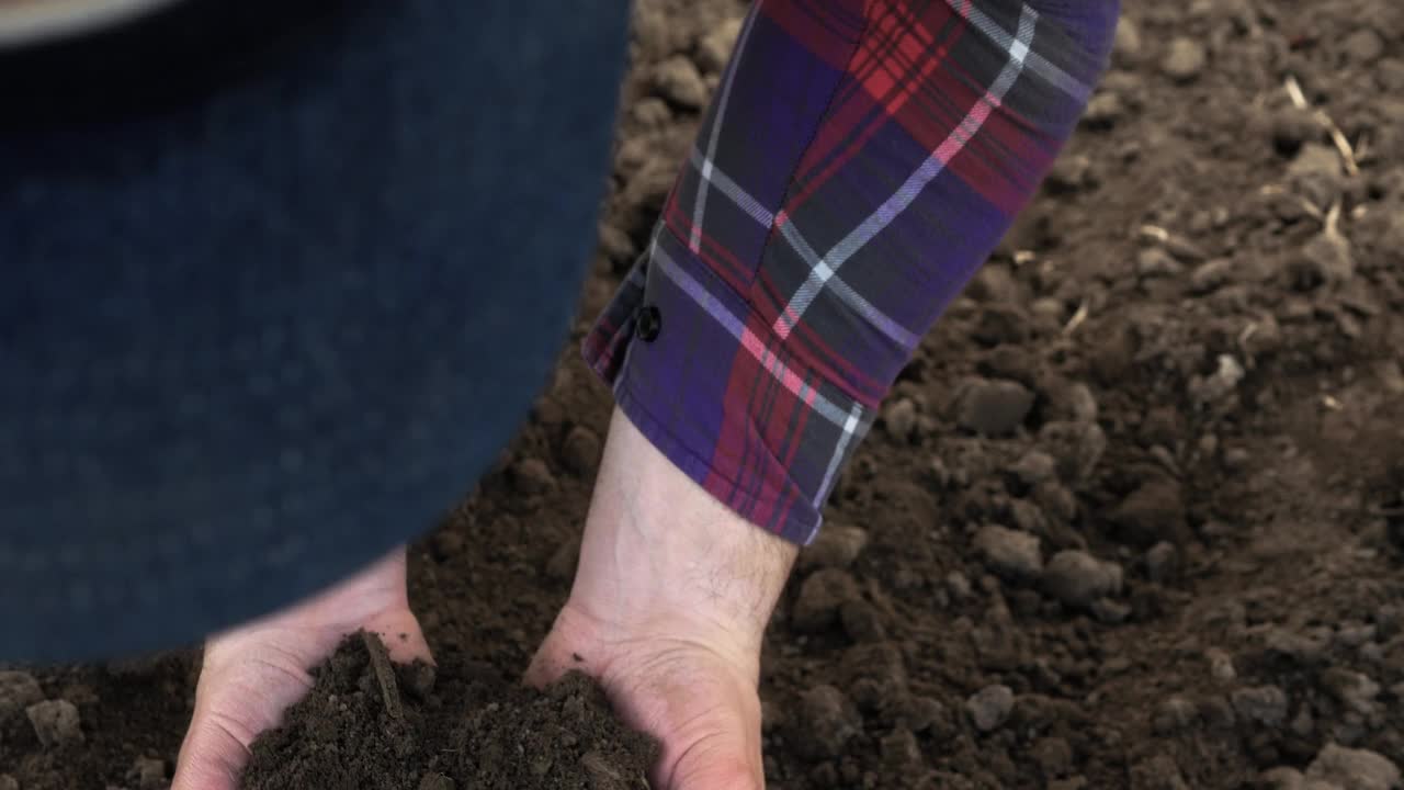 农民为园艺检查土地的状况。种植蔬菜用的黑土。农夫用手抓地。这张特写是手触摸带有小树枝和枯叶的壤土。视频素材