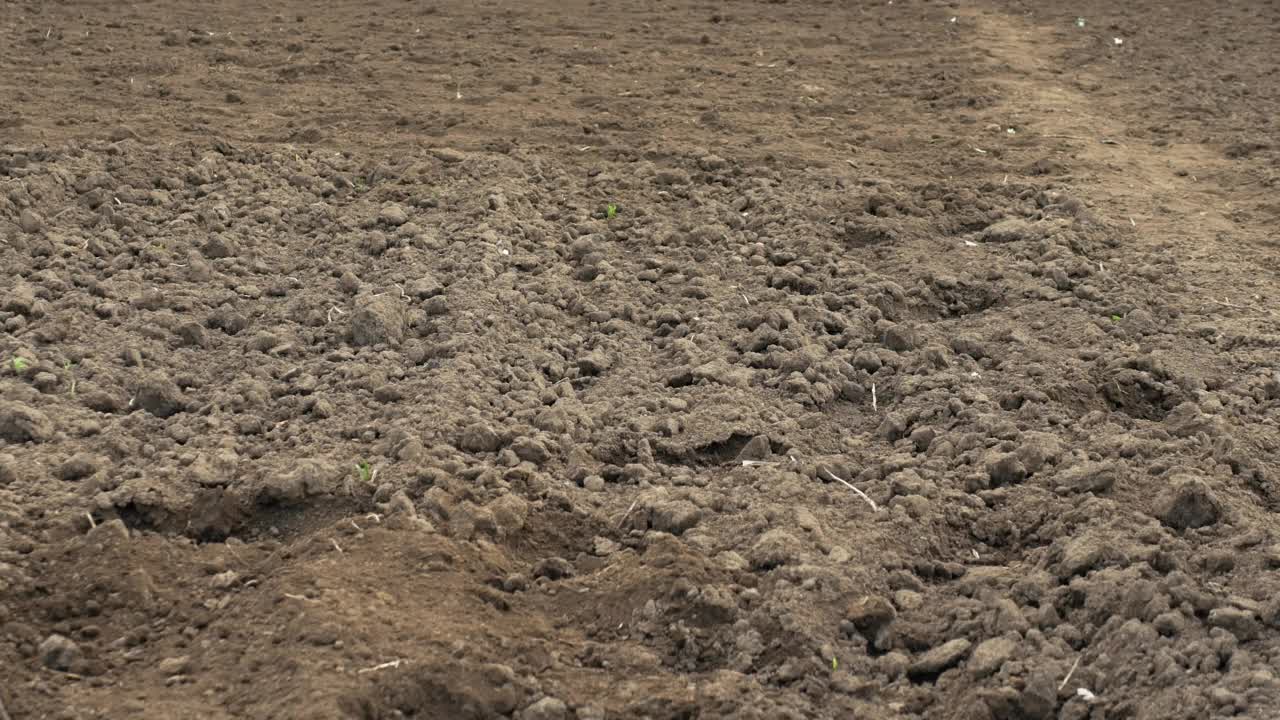 土地种植。一个穿着靴子的农民在黑土上检查土壤是否适合种植蔬菜，检查土壤，分析土地的肥料，农民检查土地的状况以便种植蔬菜视频素材