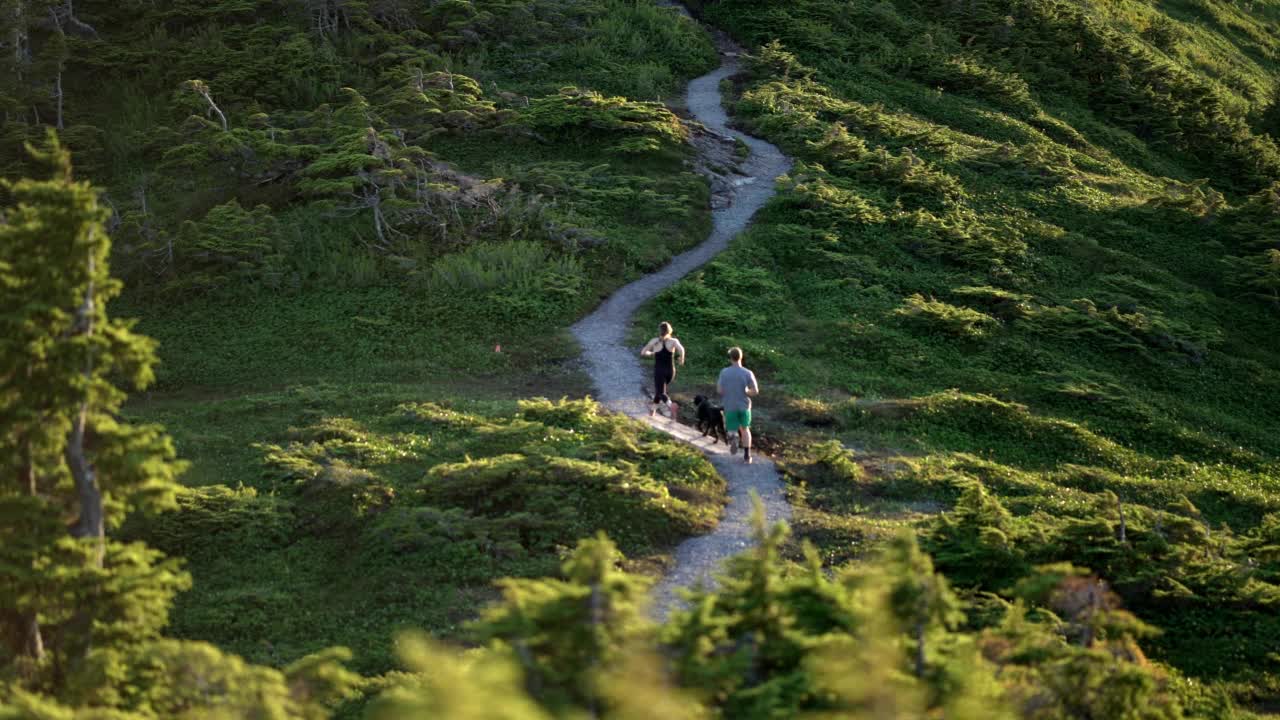 男性和女性在山上的一条小路上跑步视频素材