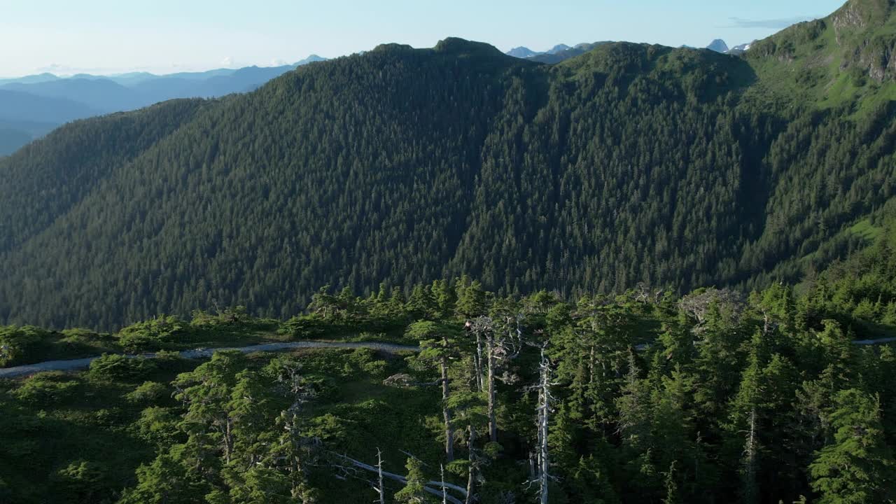 无人机拍摄的男性和女性跑步者在山上的一条小路上视频素材