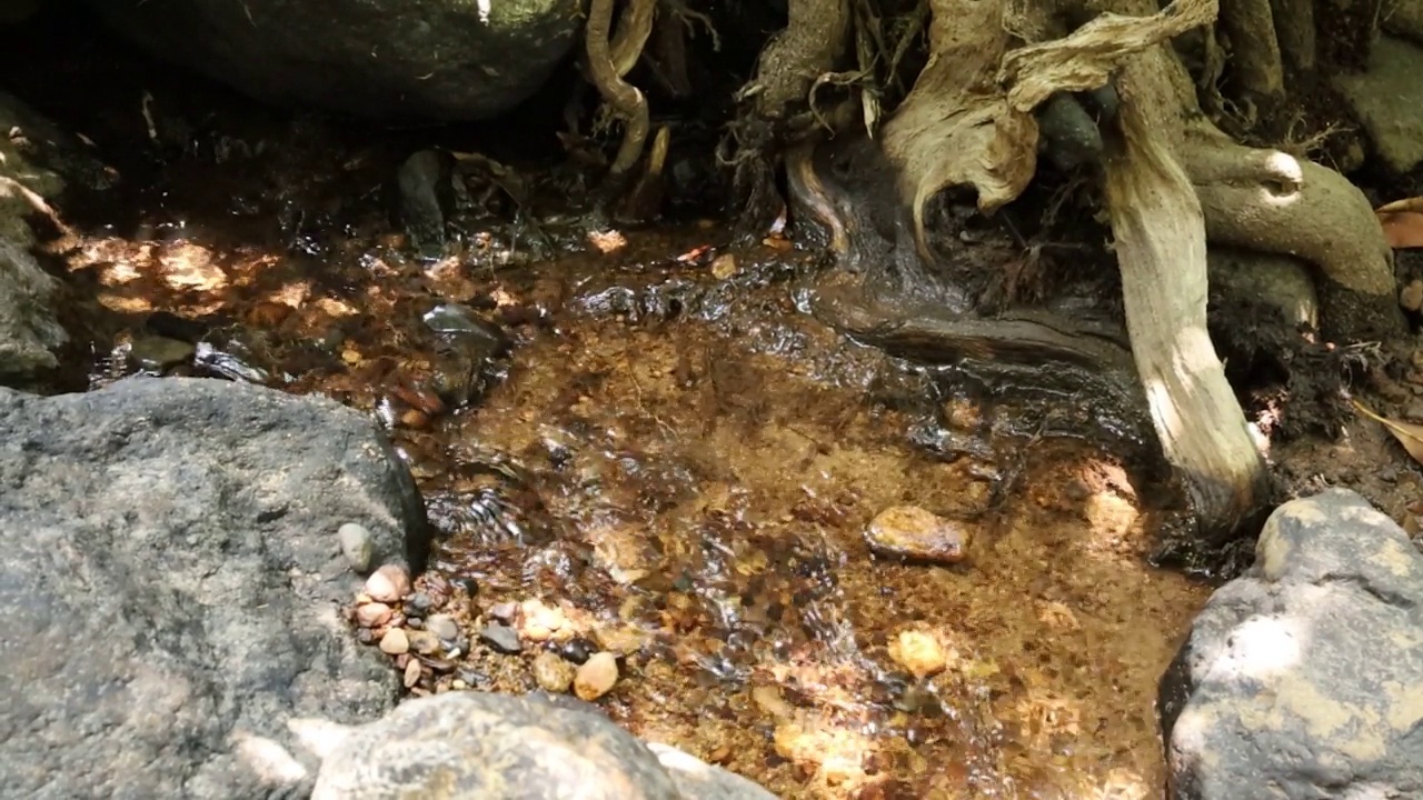 水在一条天然的小运河中流动。视频下载