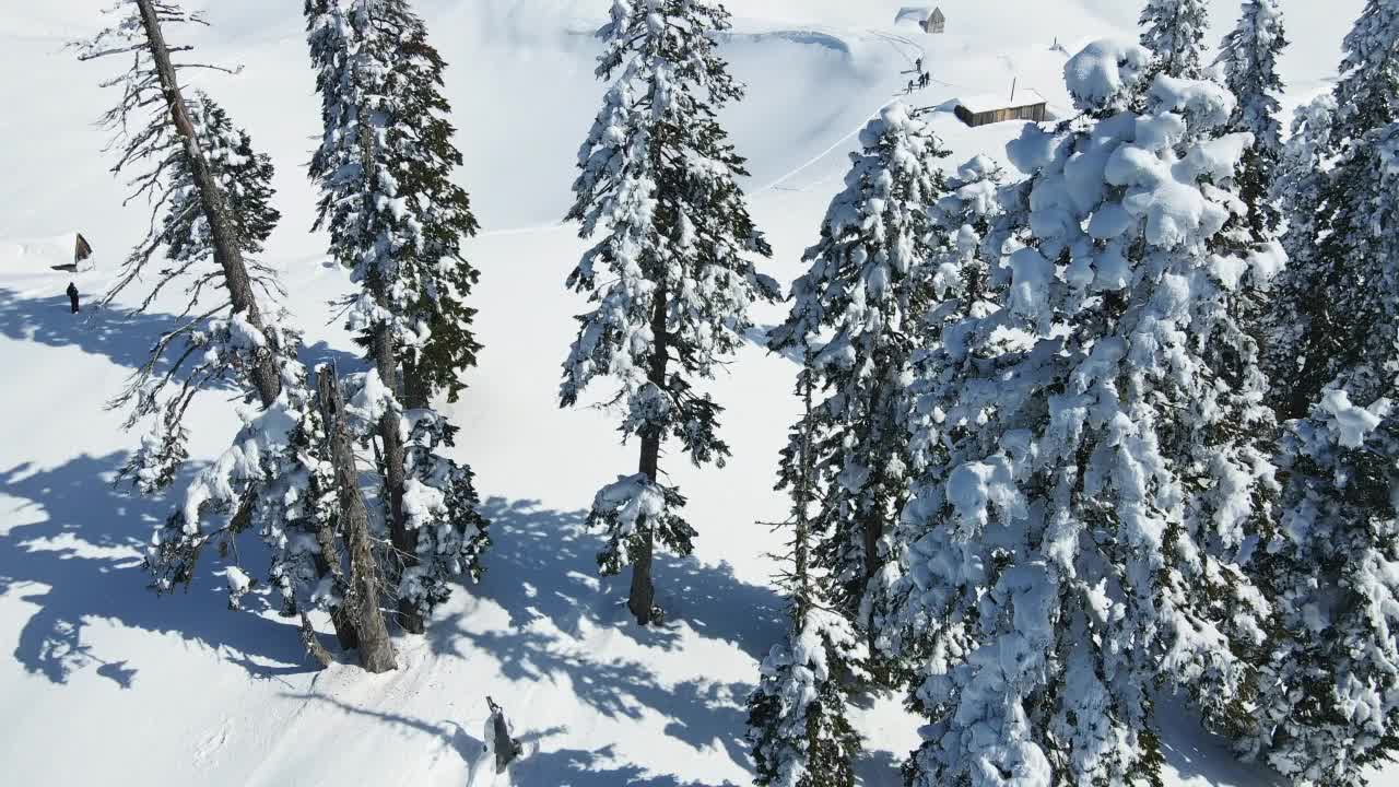 滑雪旅游爱好者爬到积雪覆盖的山顶视频素材