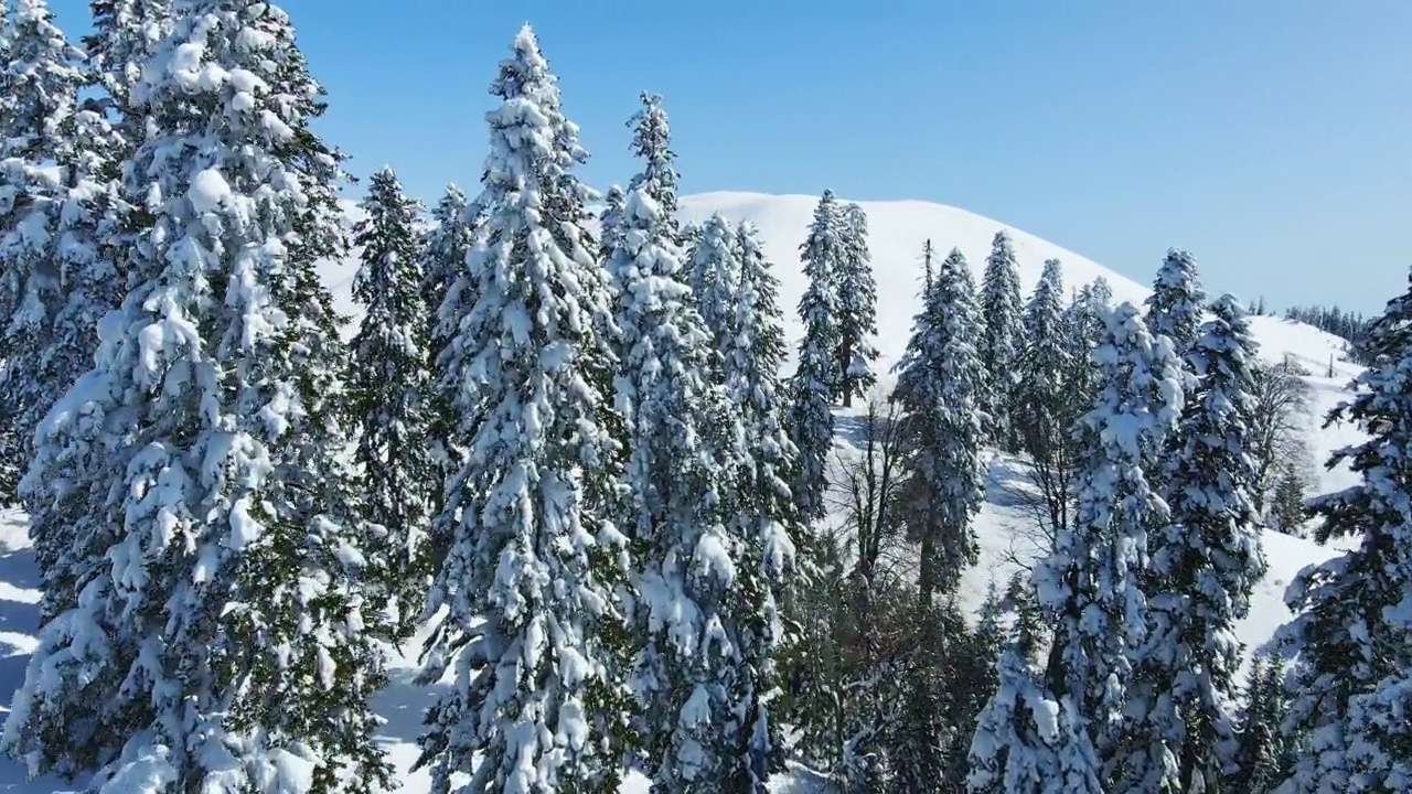 滑雪旅游爱好者爬到积雪覆盖的山顶视频素材