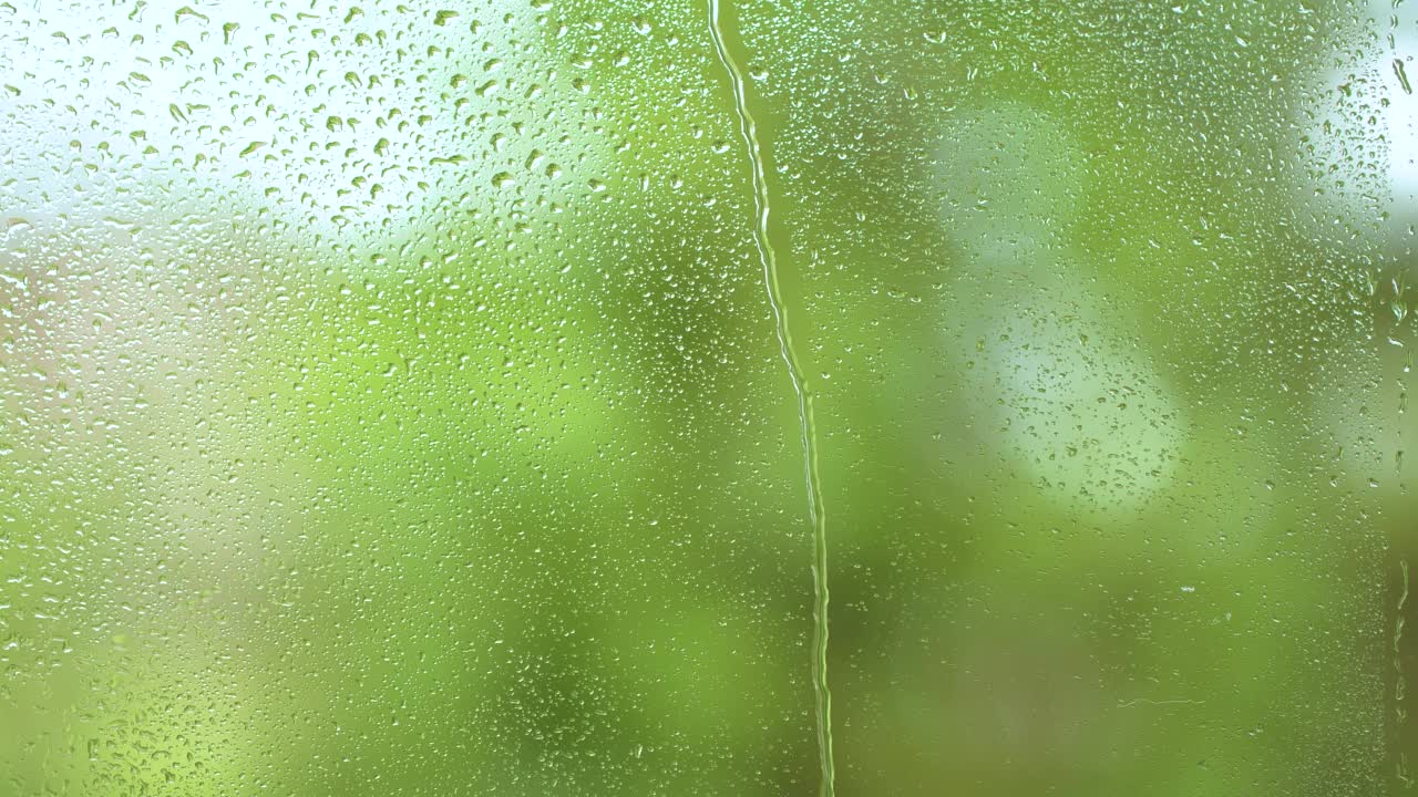 雨水自然流淌，雨滴纹理洒落在窗玻璃上，模糊了绿树视频素材