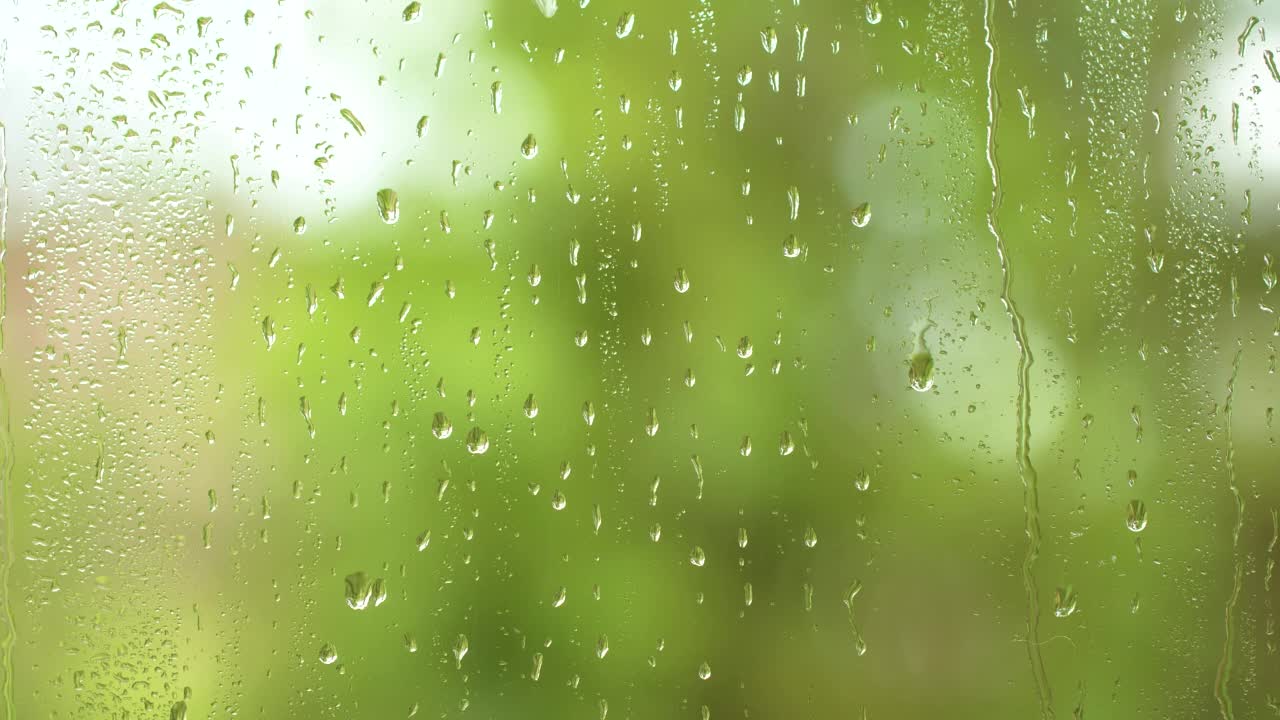 雨水自然流淌，雨滴纹理洒落在窗玻璃上，模糊了绿树视频素材