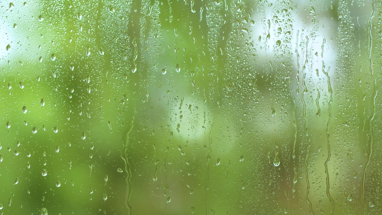 雨水自然流淌，雨滴纹理洒落在窗玻璃上，模糊了绿树视频素材