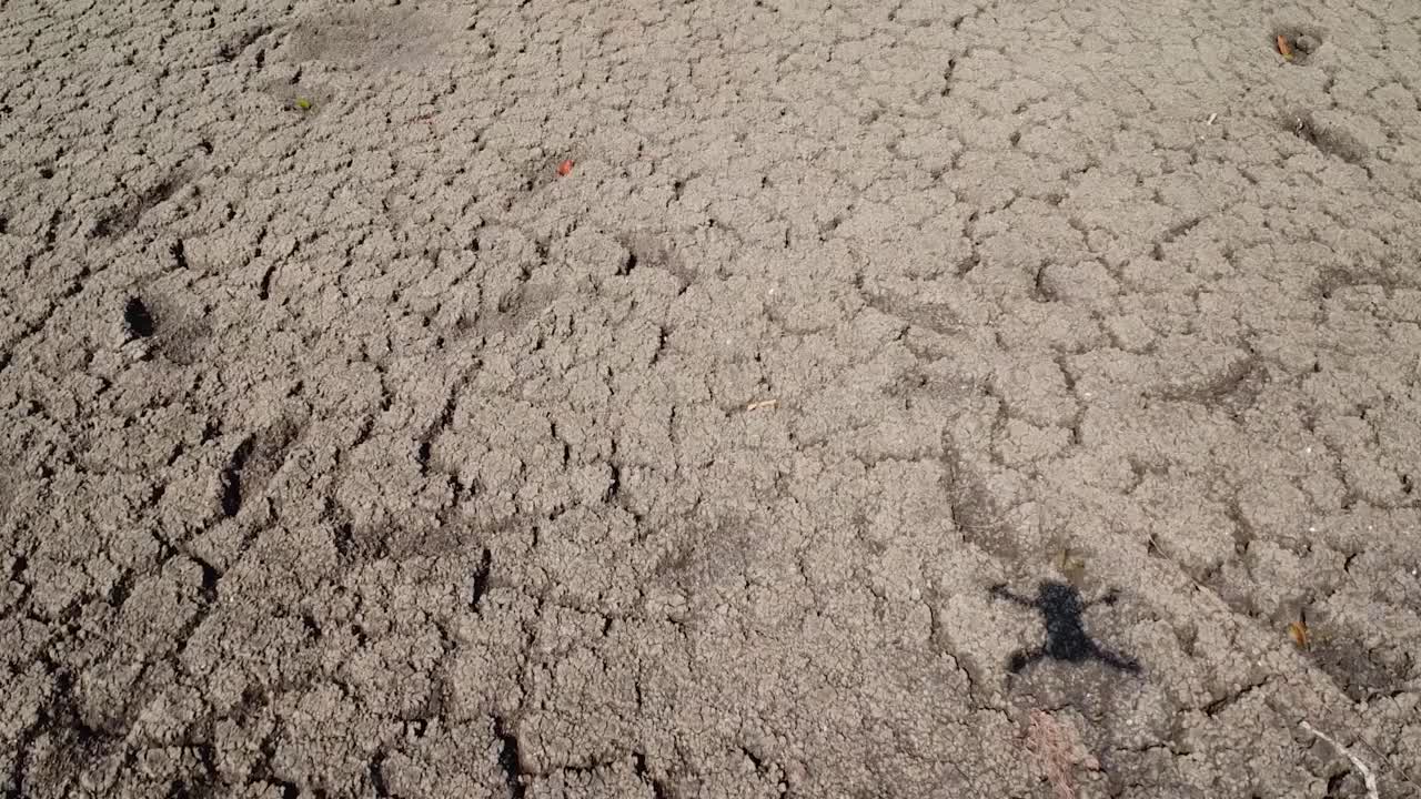 地面因高温和干旱而开裂。视频素材