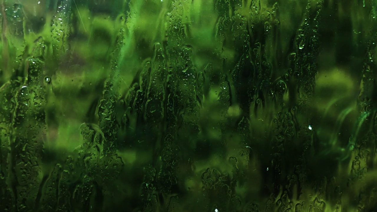 大雨伴随着一阵风。窗外的雨滴。在雨天，风吹动树木视频素材