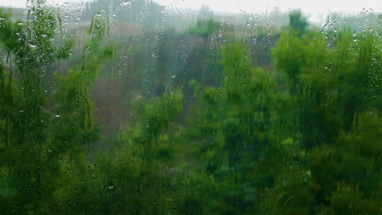 一个多雨的夏日，水滴顺着玻璃流下来，雨天树木在风中摇曳视频素材