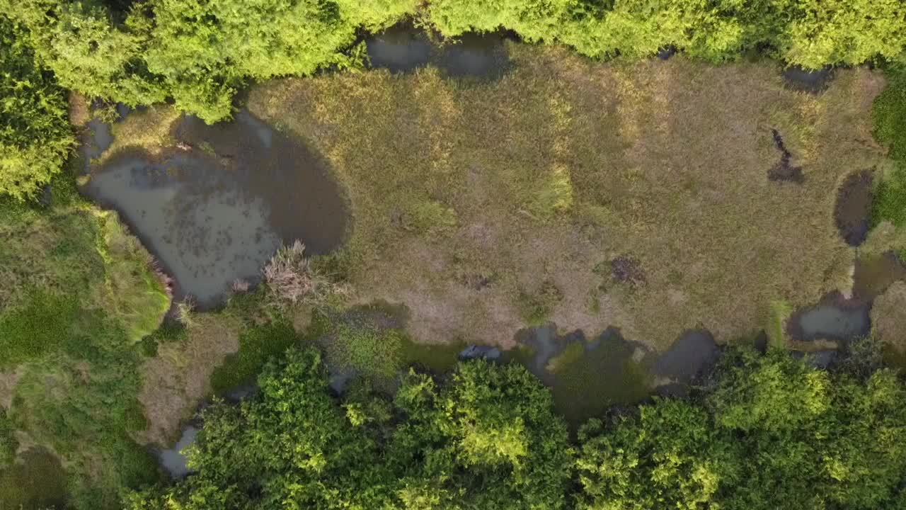 鸟瞰美丽的自然景观视频下载