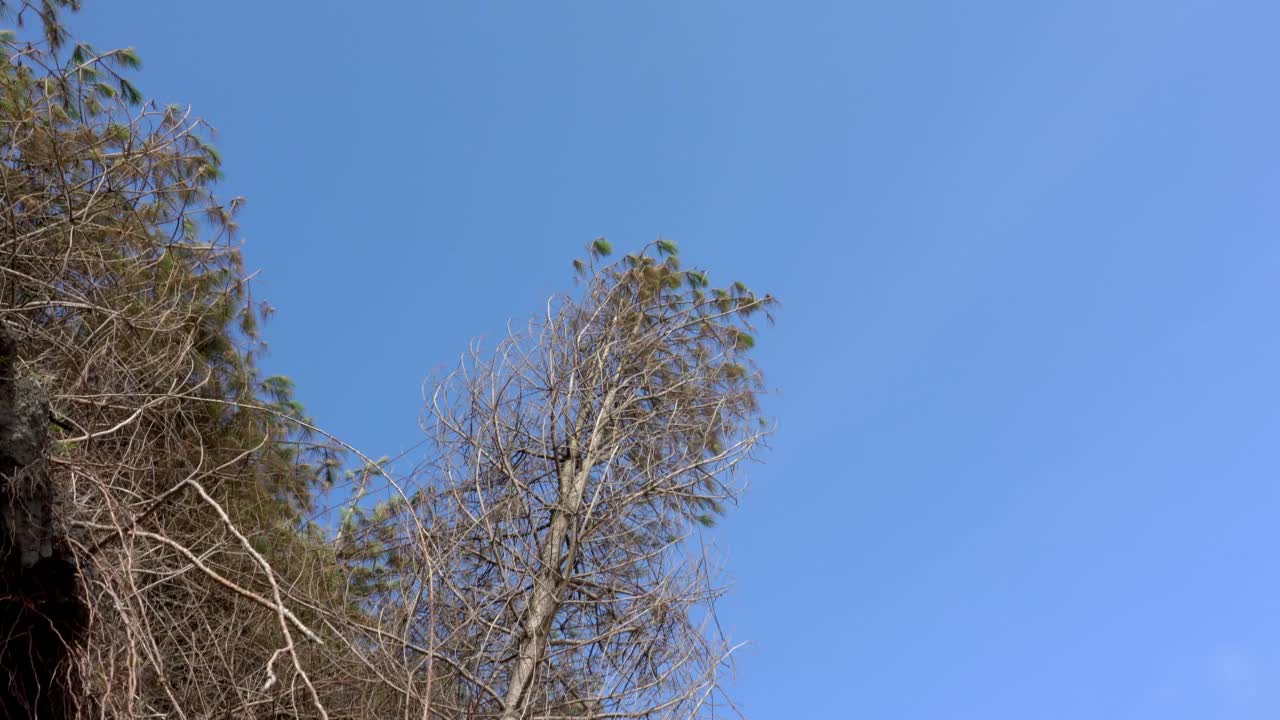 海岸侵蚀视频下载