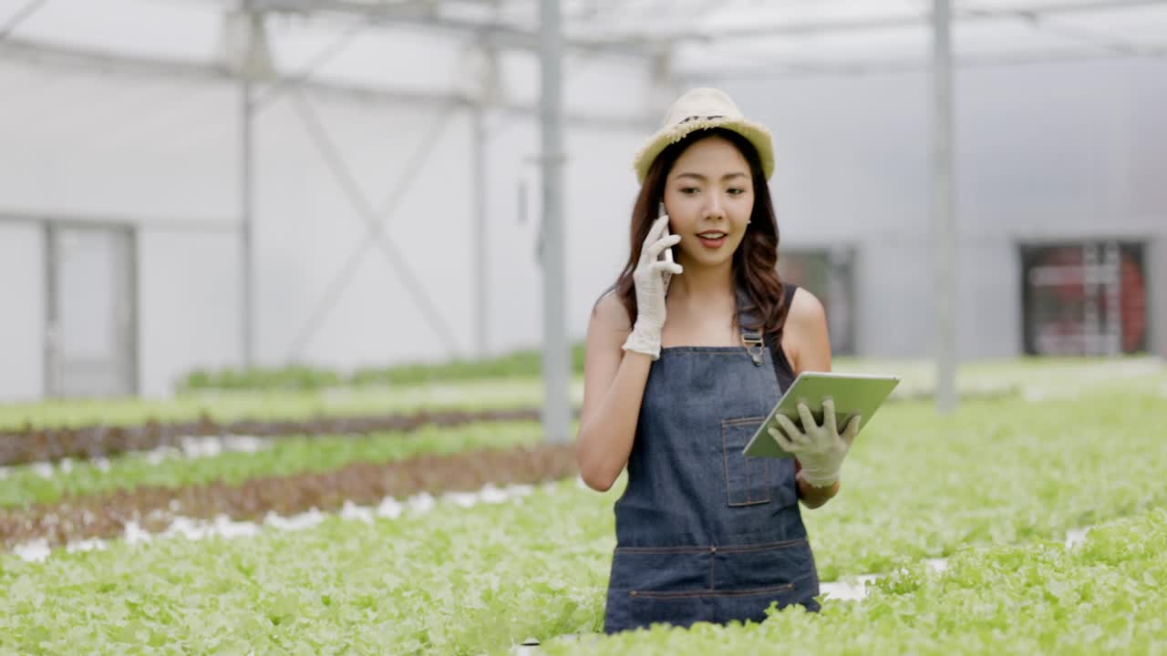 亚洲农场主和工人在一个大型苗圃检查水培蔬菜。注重蔬菜的品质及环保。现代农业技术视频素材