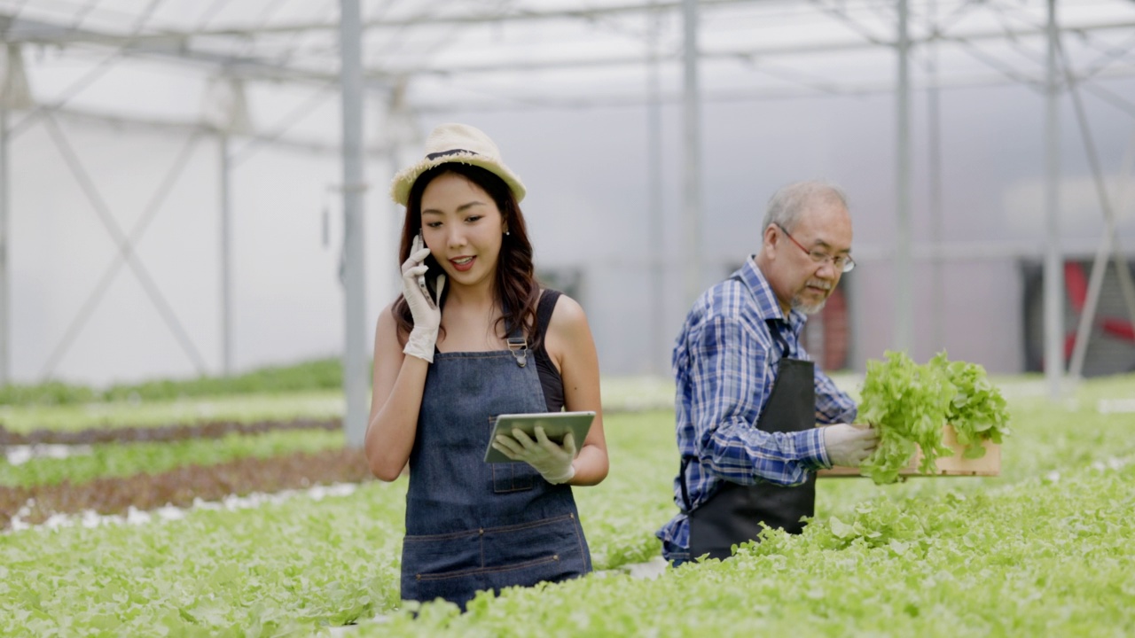 亚洲农场主和工人在一个大型苗圃检查水培蔬菜。注重蔬菜的品质及环保。现代农业技术视频素材