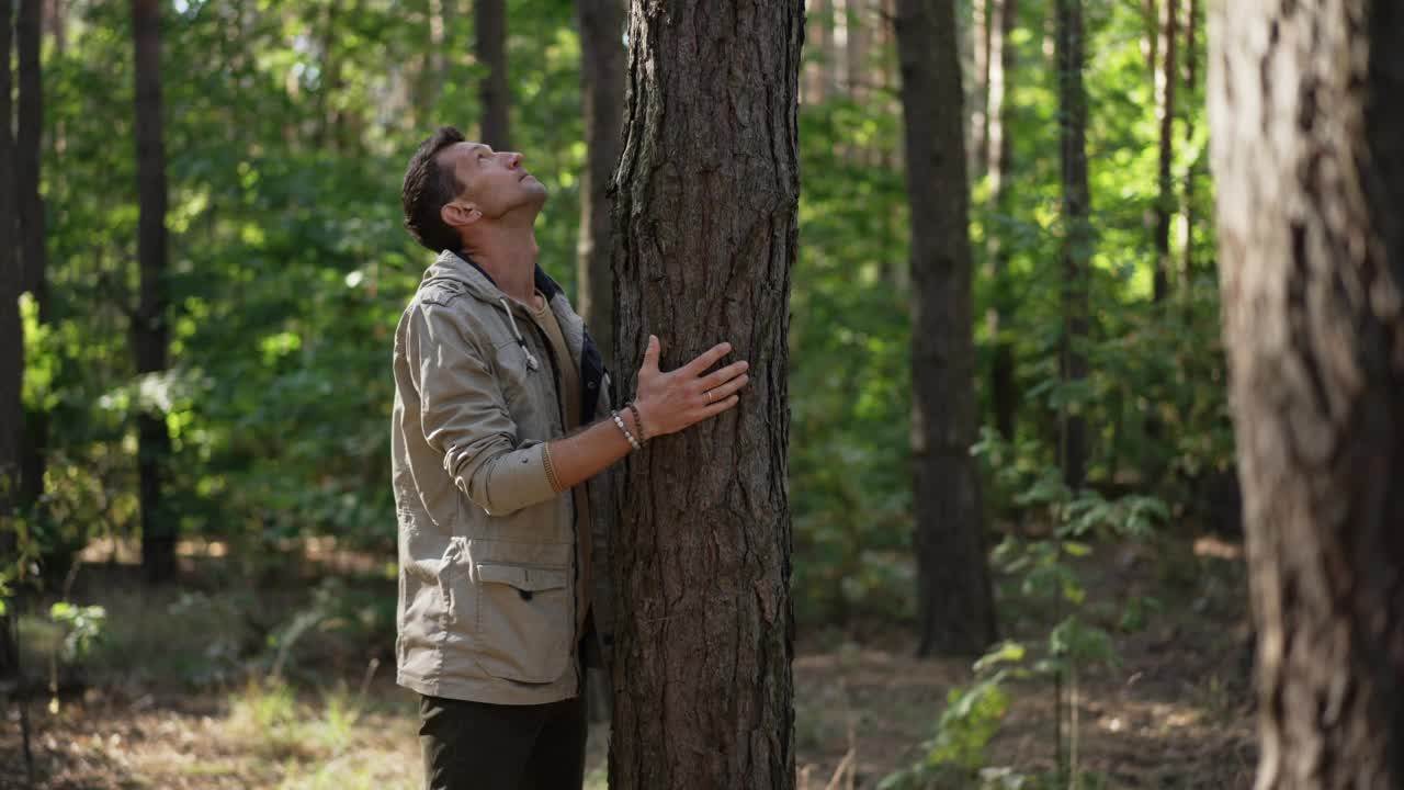 侧视图高加索人站在树干上看在林地。男旅行者在森林户外拥抱植物，享受平静的春夏。与自然和宁静的联系。视频素材