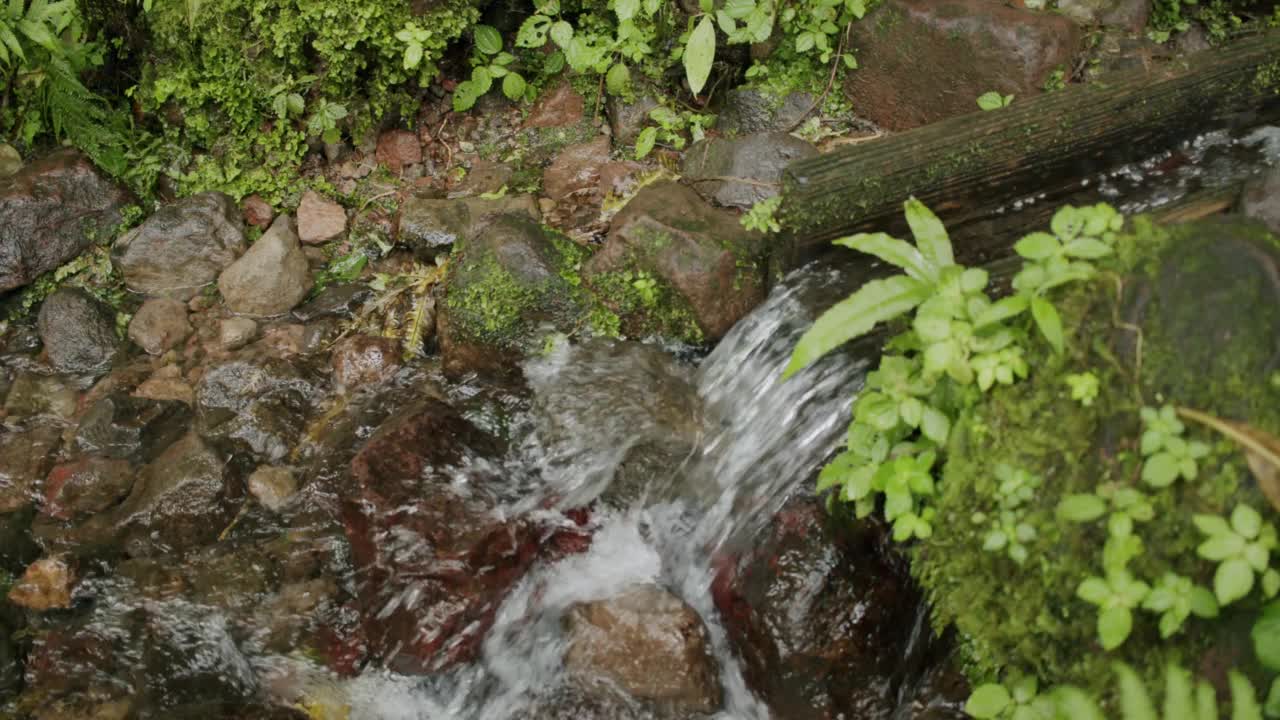 加勒比海雨林流动的水特写视频素材