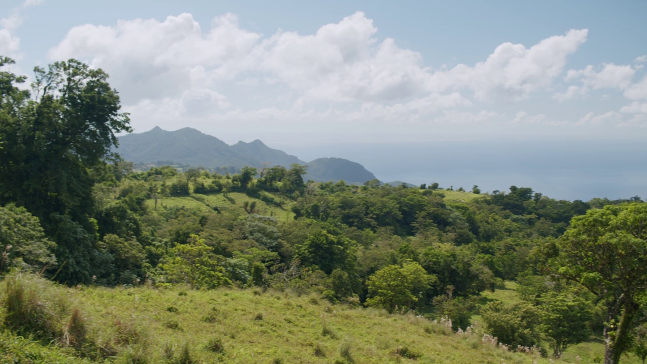 加勒比海山区的海景1视频素材