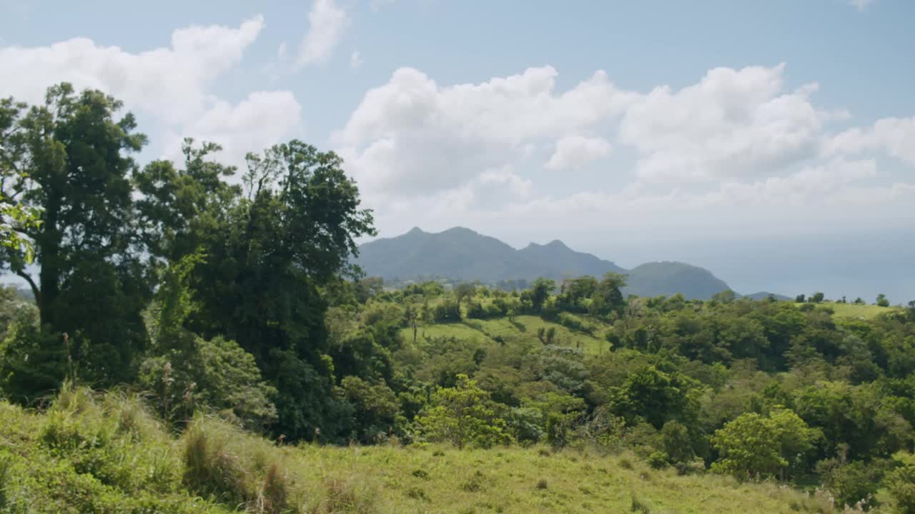 加勒比海山区的海景2视频素材