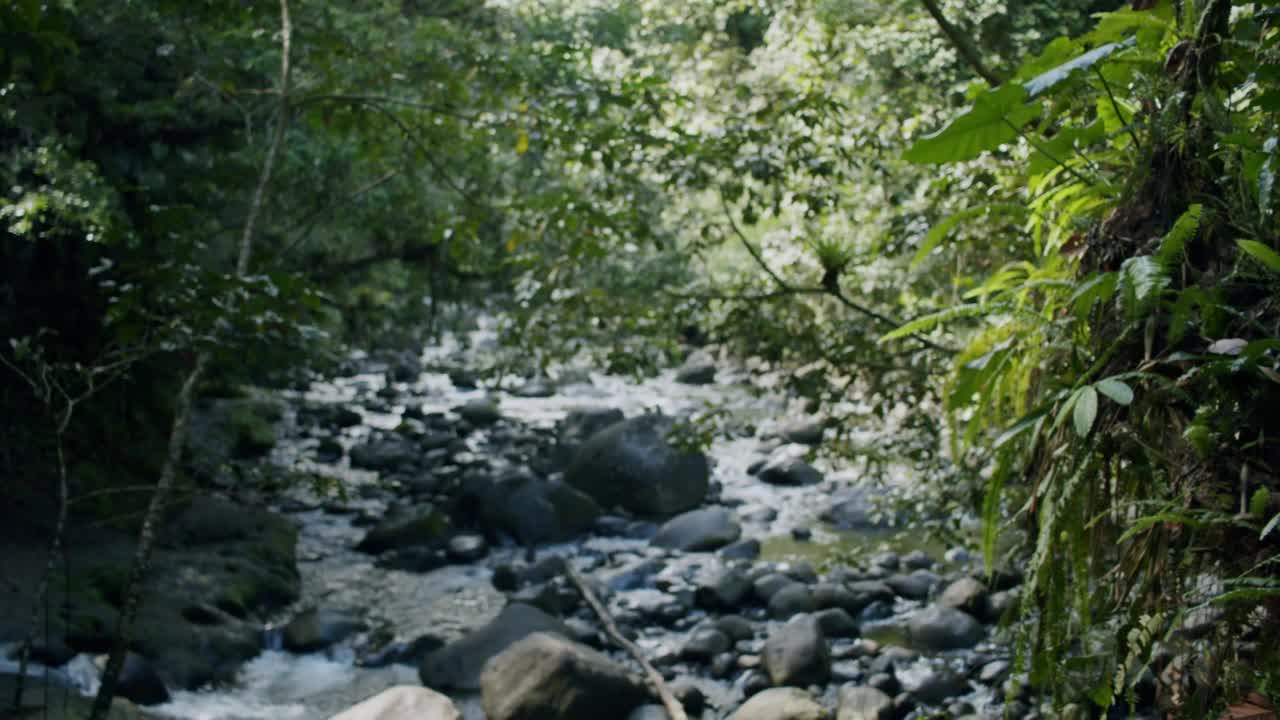 来自加勒比海的流动淡水视频素材