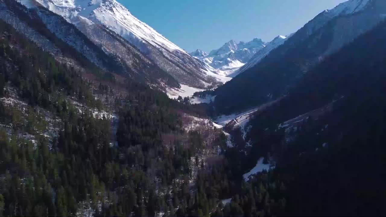 早春的峡谷，针叶树，白雪覆盖的山峰视频下载