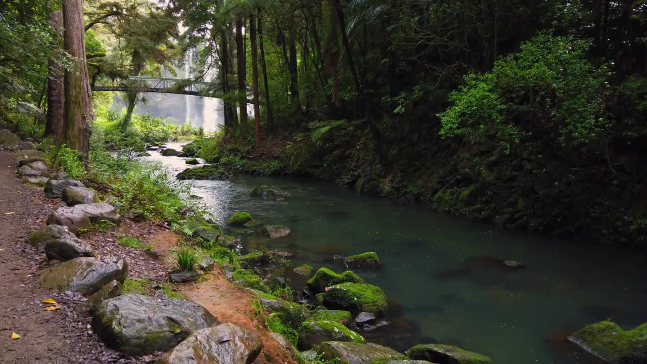 在新西兰的流水附近徒步旅行视频素材