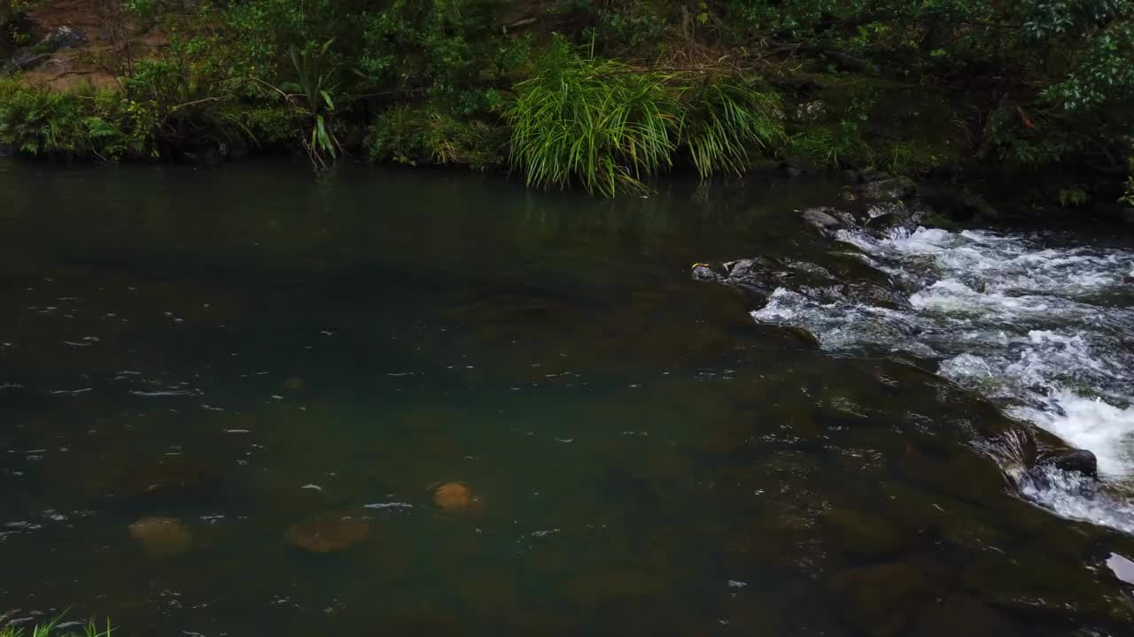 在新西兰的流水附近徒步旅行视频素材