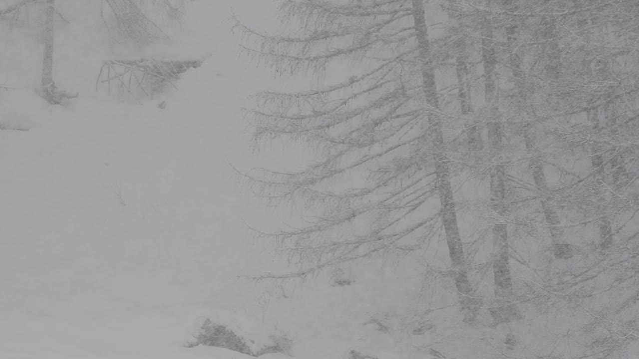 大天堂国家公园下了一场大雪视频素材