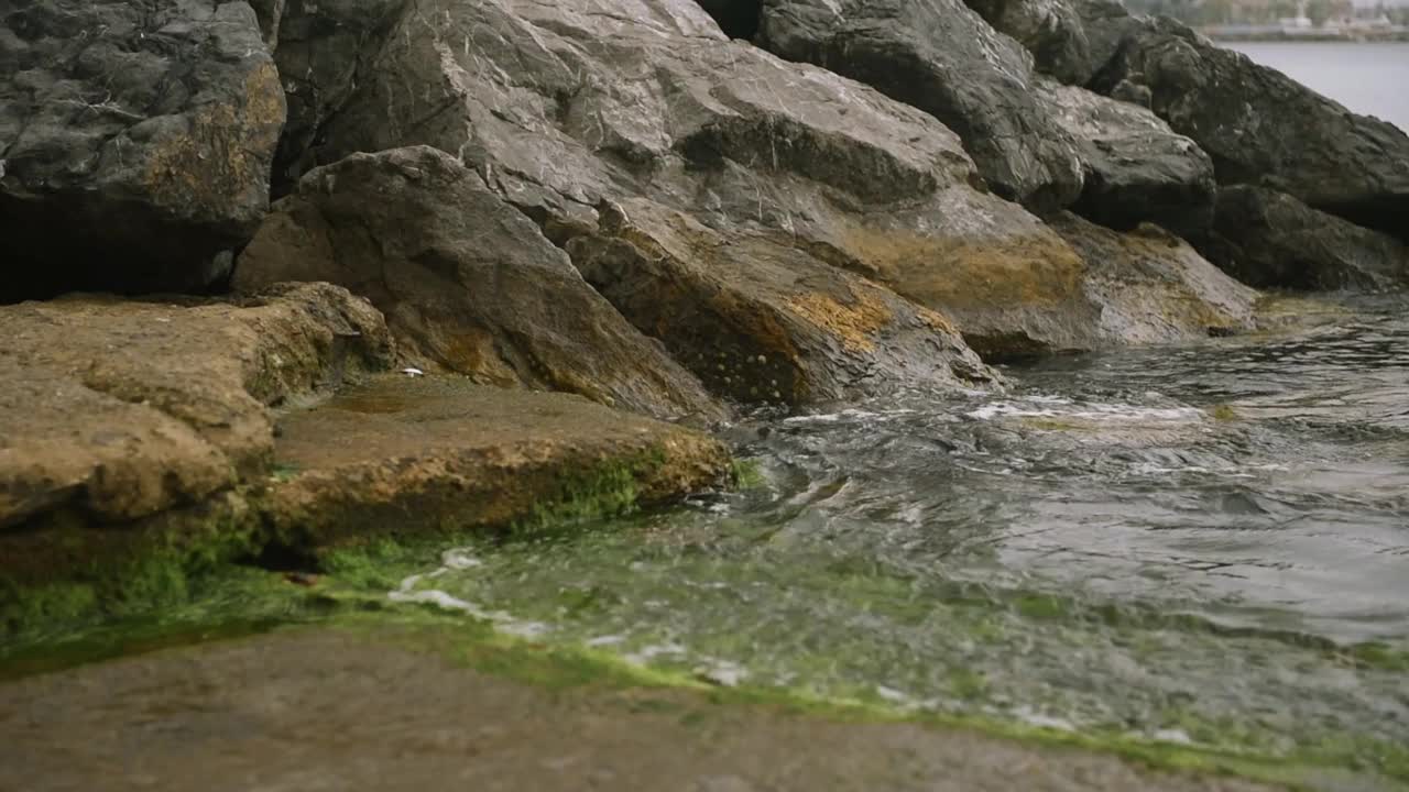 岩石在岸上视频下载