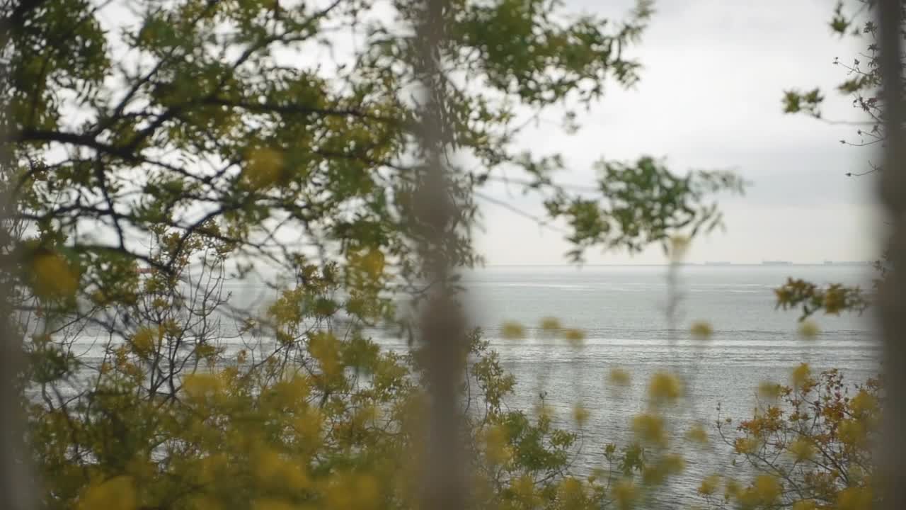 海景视频下载