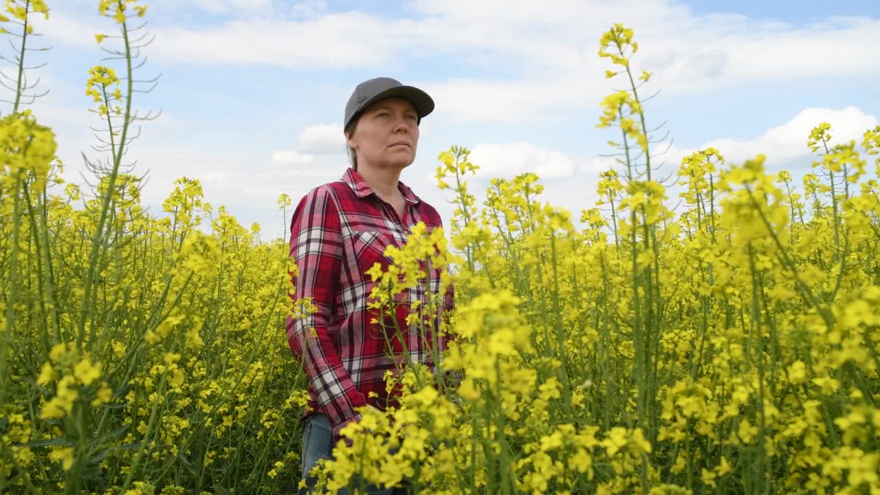 两名农民正在检查开花的油菜籽作物视频素材