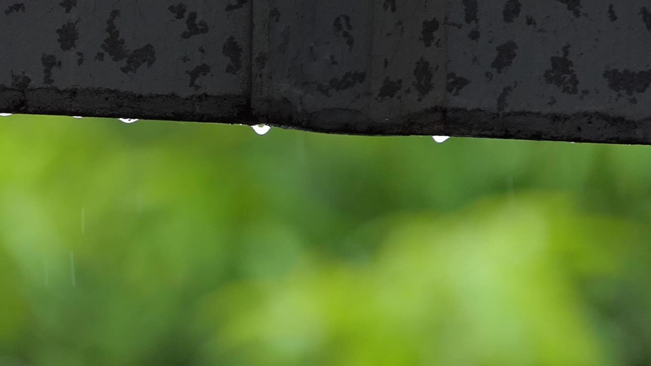 雨滴的慢动作。视频素材